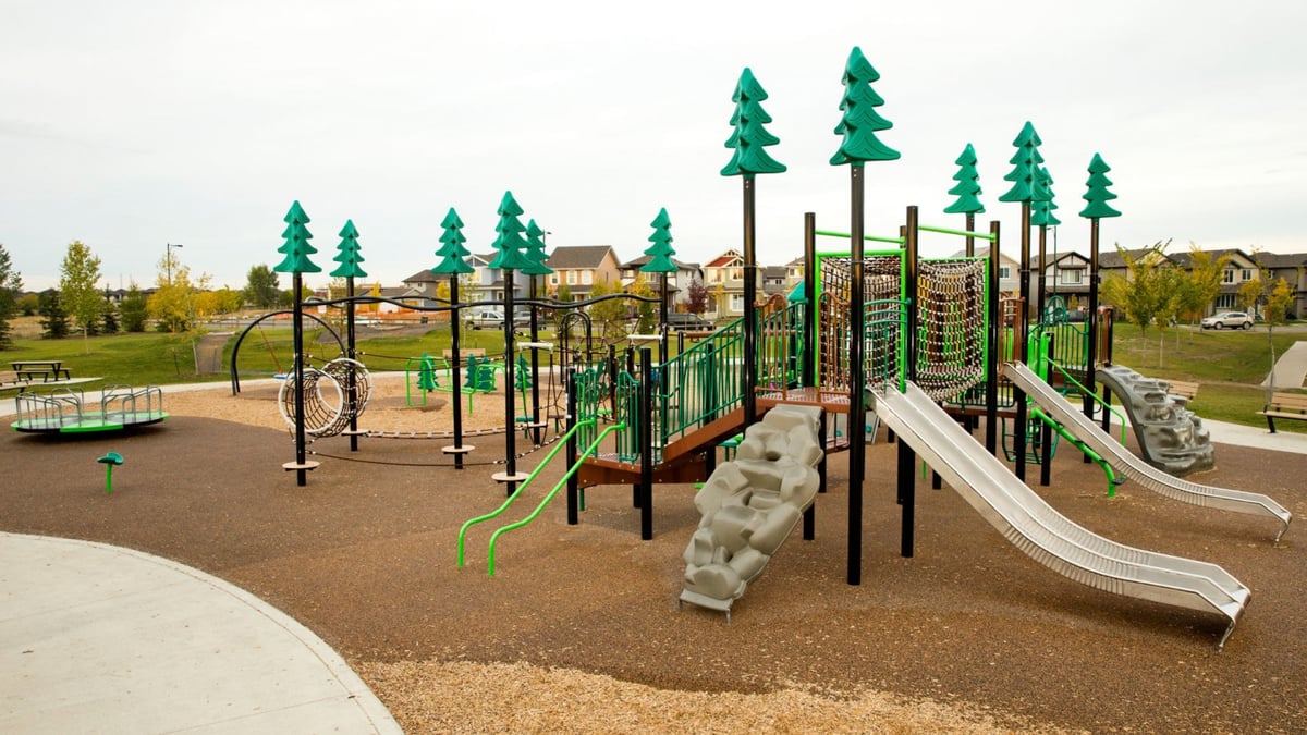 A Blair McPherson School